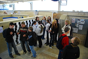 Das Bild zeigt eine Schulklasse beim Rundgang in der Fliesenlegerhalle